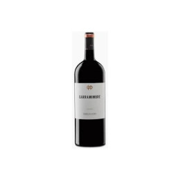 Carramimbre Crianza Magnum - Vino Tinto