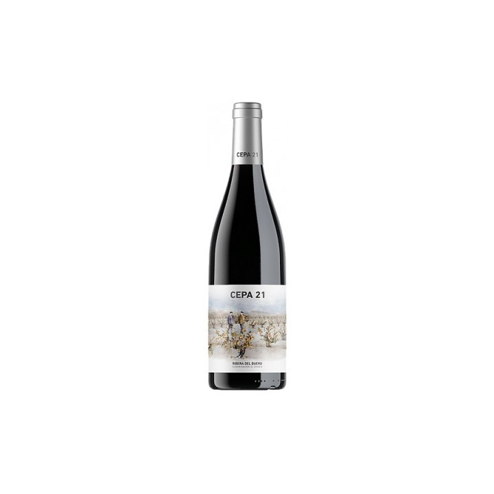 Cepa 21 - Vino Tinto Ribera del Duero