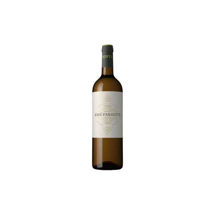 Jose Pariente Verdejo - Vino Blanco