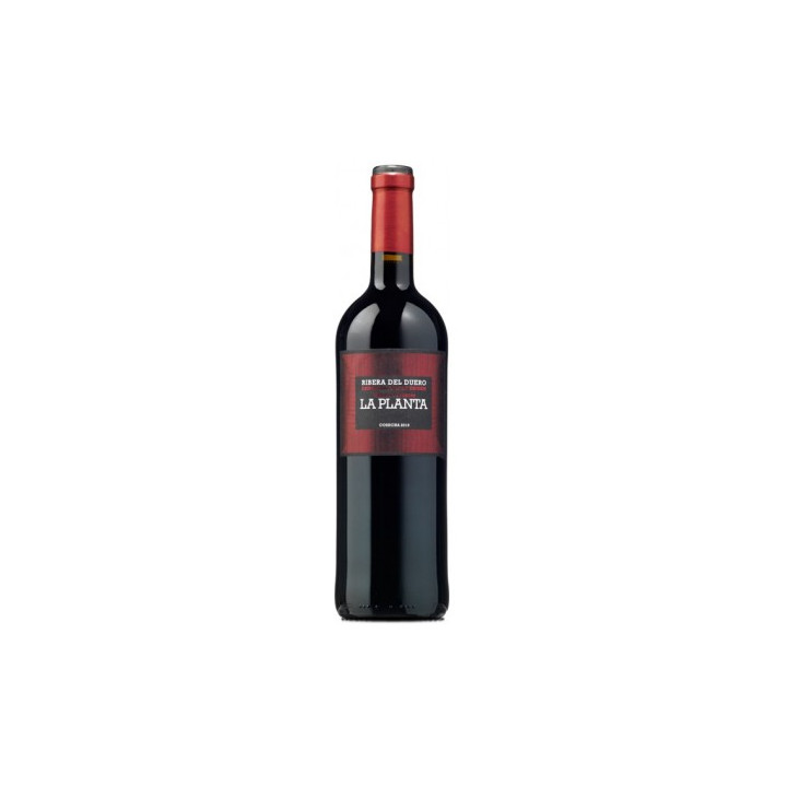 La Planta - Vino Tinto Joven