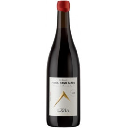 Lavia Paso Malo 2020 - Vino Tinto