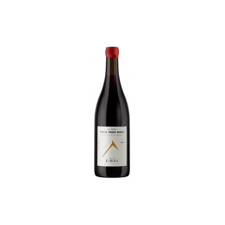 Lavia Paso Malo 2020 - Vino Tinto
