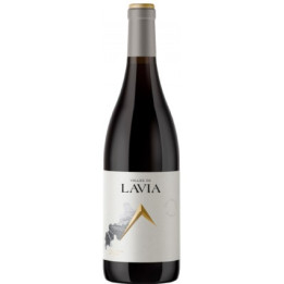 Lavia Valle Aceniche - Vino Tinto