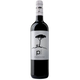 Pino Doncel 5 Meses - Vino Tinto Crianza